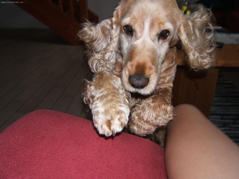 Foto: Hoppp!