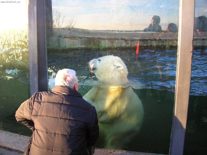 Foto: ZOO-Troja-k�mo�i