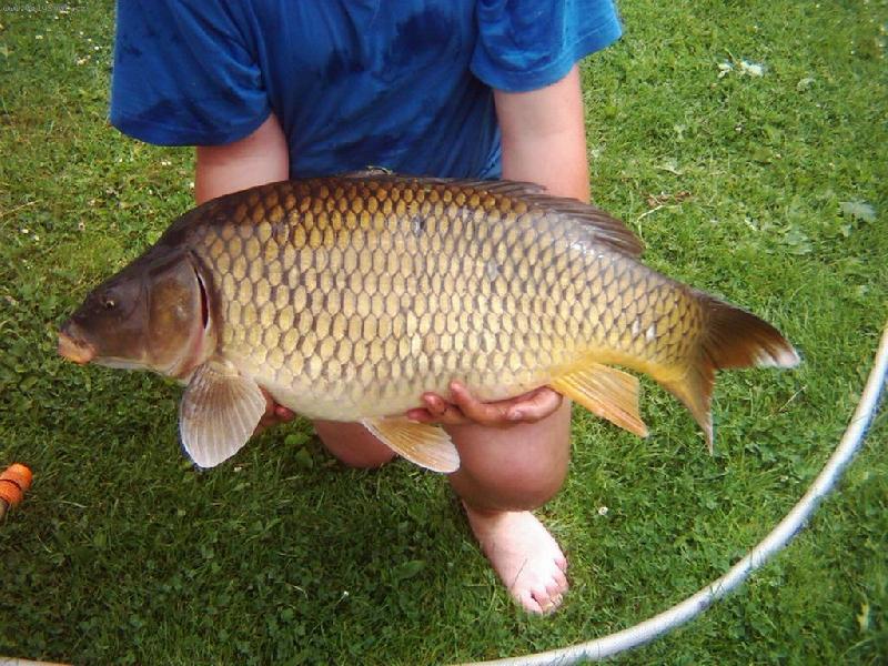 Foto: Kapr-To je ale macek