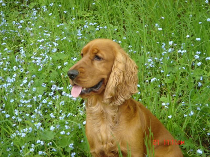 Foto: Fredie
