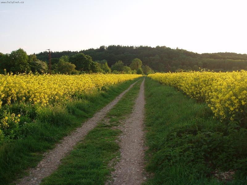 Foto: kone�n� jaro !