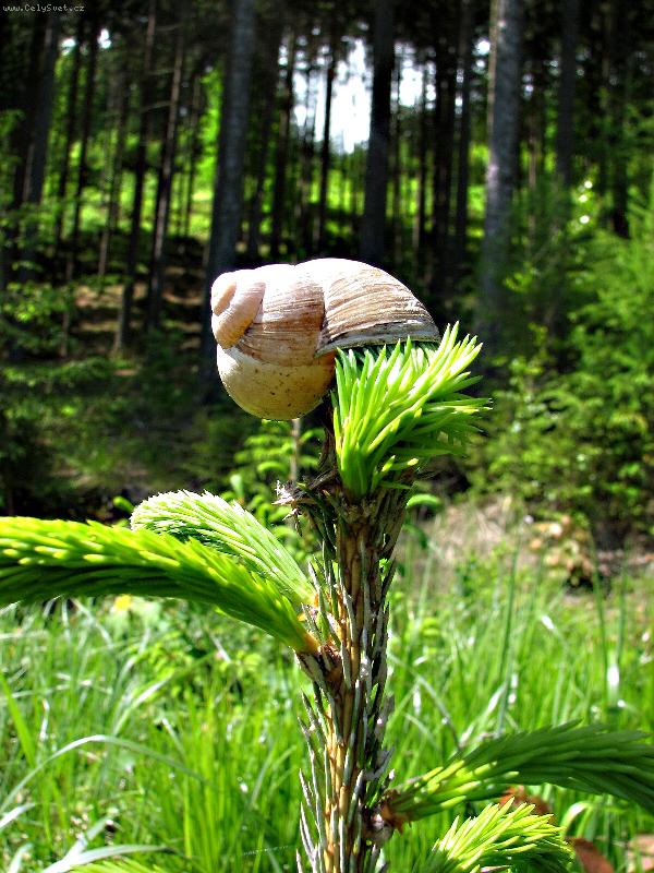 Foto: Pro lep�� v�hled