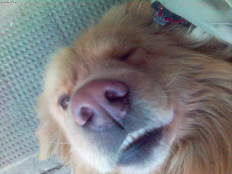 Foto: Conny