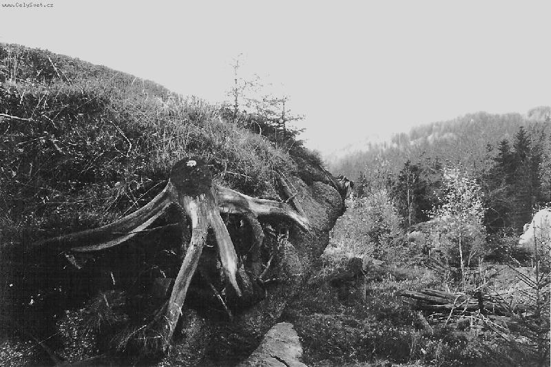 Foto: Z�ti�� s pa�ezem