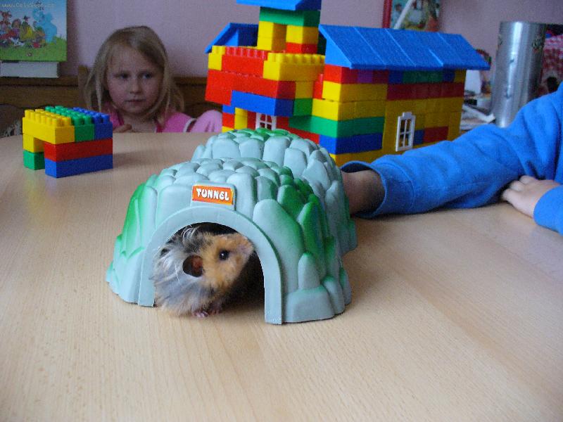 Foto: St�apo�ek-Co je to za tunel?