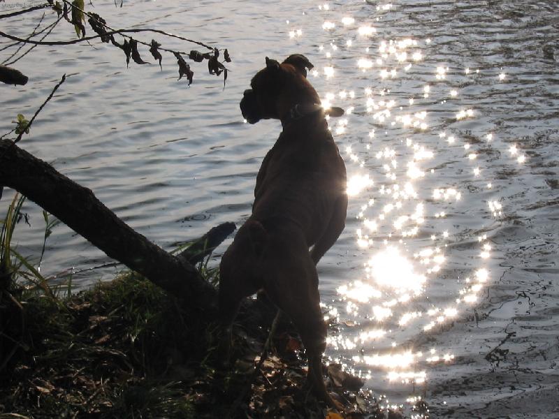 Foto: Zamilovan�