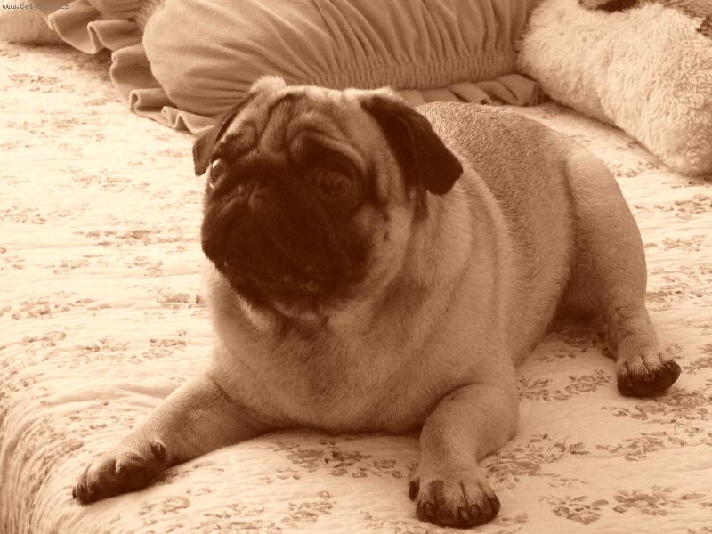 Foto: Edula