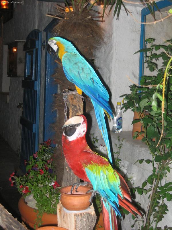 Foto: Jsme nebezpe�n�!