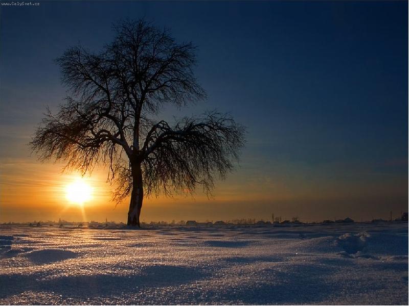 Foto: winter sunset