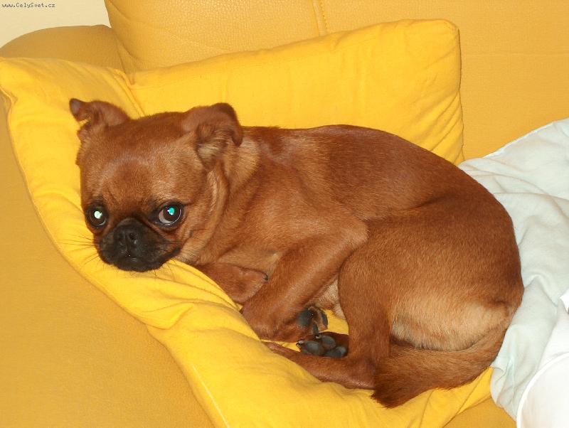 Foto: Je mi horko.-Bao-Bao