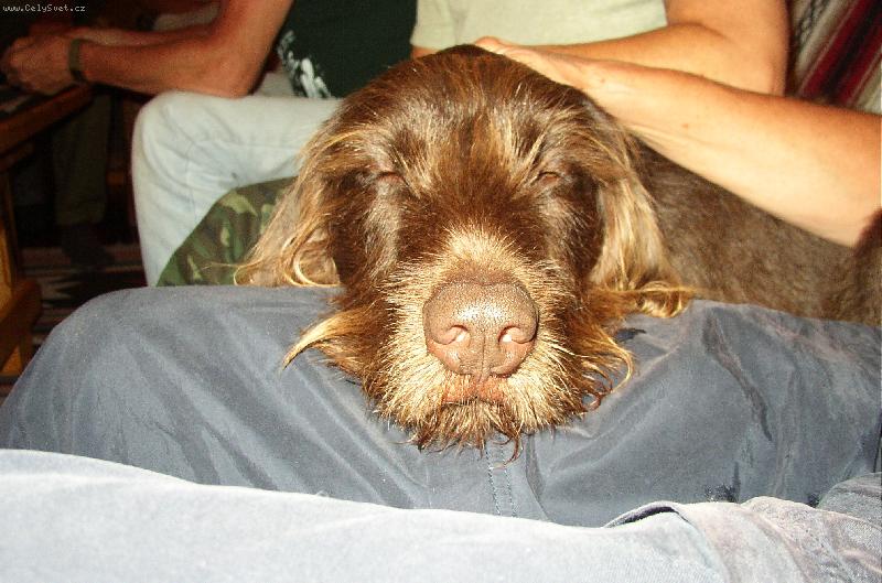 Foto: Ve�ern� siesta