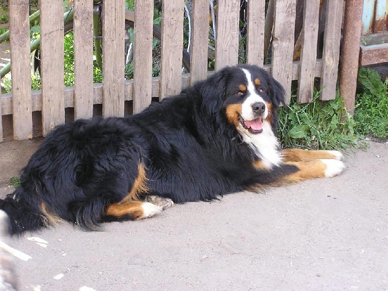 Foto: Ciro