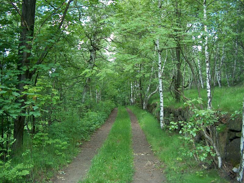 Foto: Cesta do R�jce