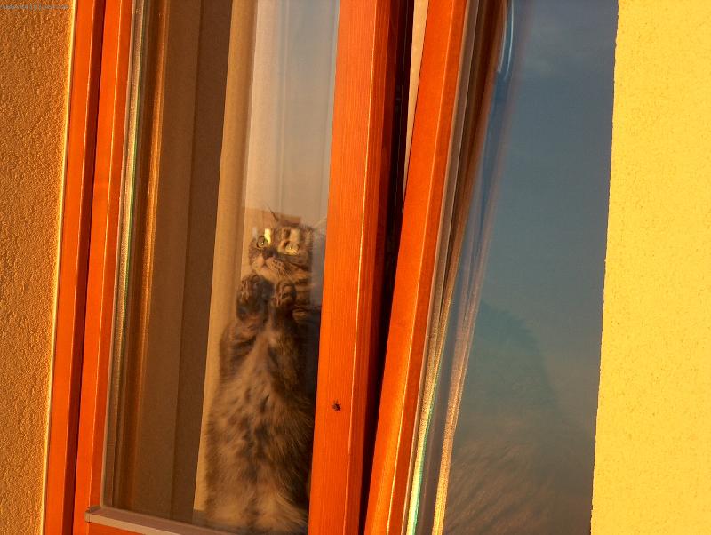 Foto: D�da-Je�t� p�ed chvilkou tu byla moucha