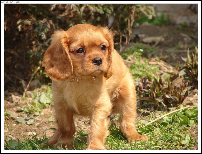 Foto: N� mil��ek