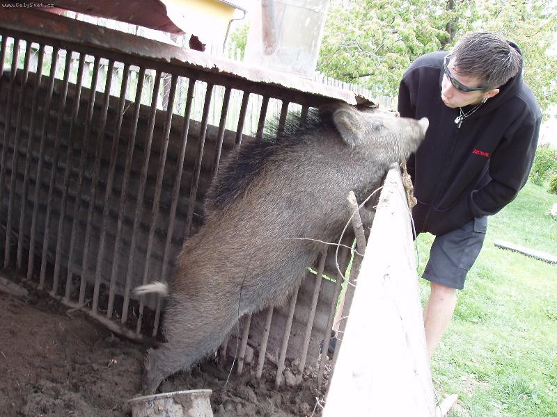 Foto: Venca-Kiss me ...........