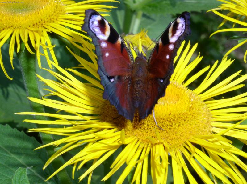 Foto: na koloto�n�ku