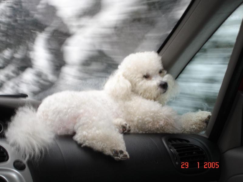 Foto: Bady