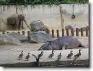 T�i v jednom, aneb �� je to vlastn� v�b�h :-)