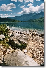 Bohinjsk� jezero