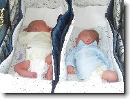 Dvoj��tka z Ose�n�