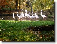 pohled do pta�� ��e