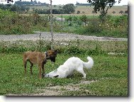 poj�te pan� budeme si hr�t
