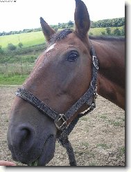 Koukej mi ten fo��k vr�tit!