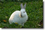 Sn�ek na �t�ku