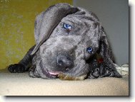 Nejroztomilej�� �t�n�