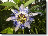 ...p�kn� kv�tko :-)