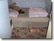 V�t�� m� p�ednost