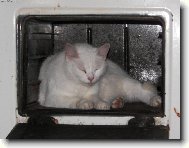 Z�t�ej�� ob�d...