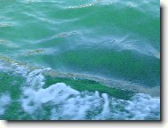 Jedna vlnka �plouchla