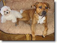 Argo�ek se svou kamar�dkou Shereen