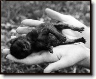 T�den na sv�t�