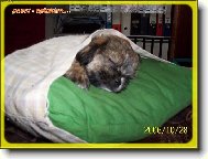 Ronny - sp�c� v pol�t��ku