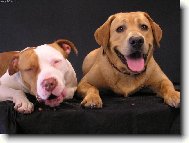 Nenech�m ti ani kousek