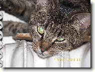 Tady je teplou�ko...