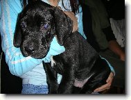 J� chci zp�tky k m�m�!