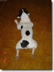 Poloha zvan� "pe��nka"