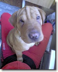 Sly��ek gum��ek :-)