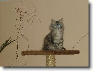 m�me doma ufo�nku