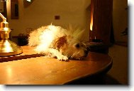 Ta�a sn� v pr�ci.