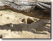 Vzduch je �ist�!