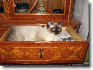 kde se mi nejv�ce l�b�