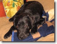 Nechte m� spinkat...