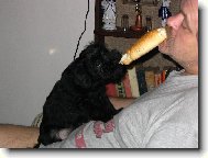 Dej sem ten rohl�k !!!!