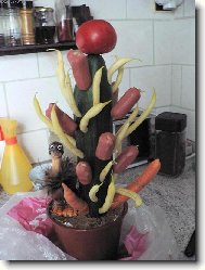 jsem k se�r�n�