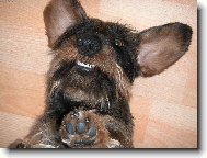 dom�c� pohodi�ka